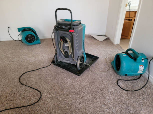 Best Carpet water damage restoration  in Portage, MI