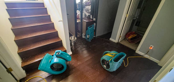 Best Ceiling water damage repair  in Portage, MI