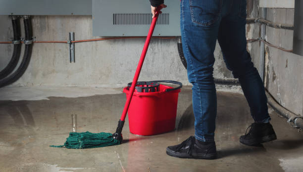 Best Fire Damage Restoration  in Portage, MI