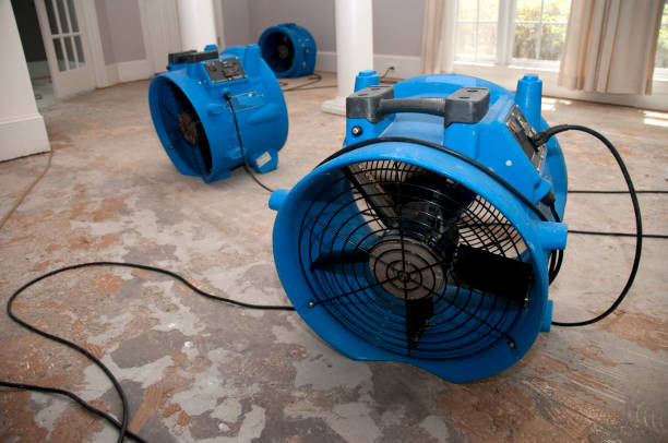 Best Water damage cleanup near me  in Portage, MI