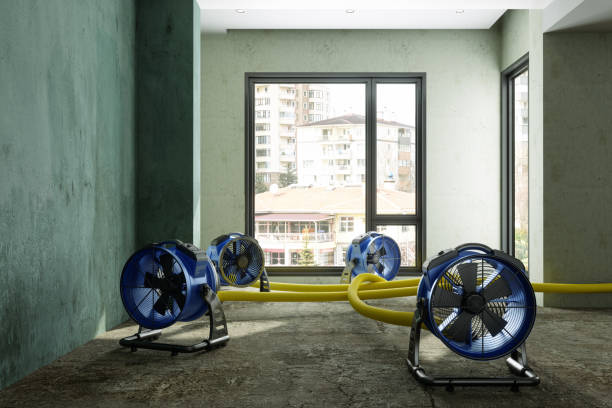 Best Water damage restoration process  in Portage, MI